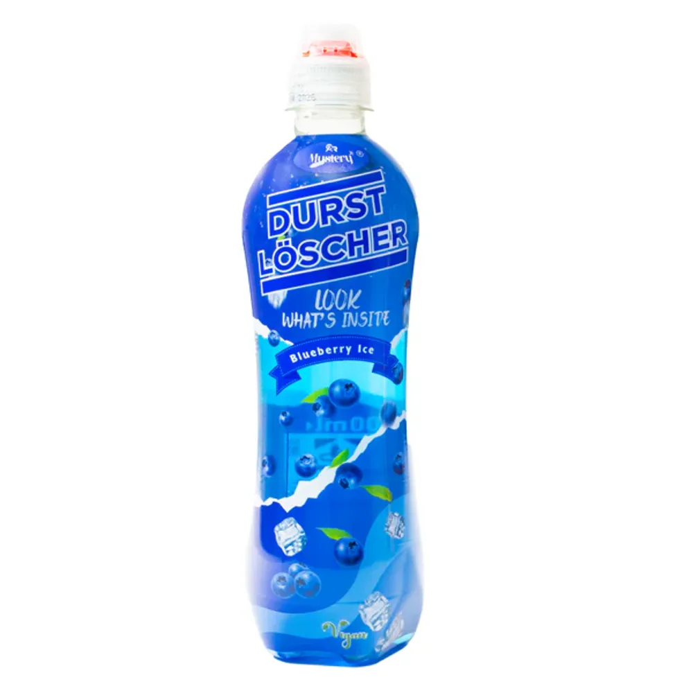12x  Durstlöscher Blueberry 500ml